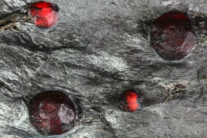 Garnets in Graphite - Red Embers Mine, Massachusetts #111837